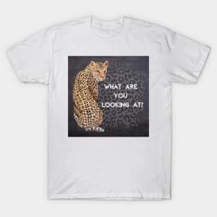 What are you looking at? T-Shirt